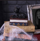 Salems Spells Black Cat and Spellbook Box