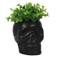 Skull Plant Pot (Black)